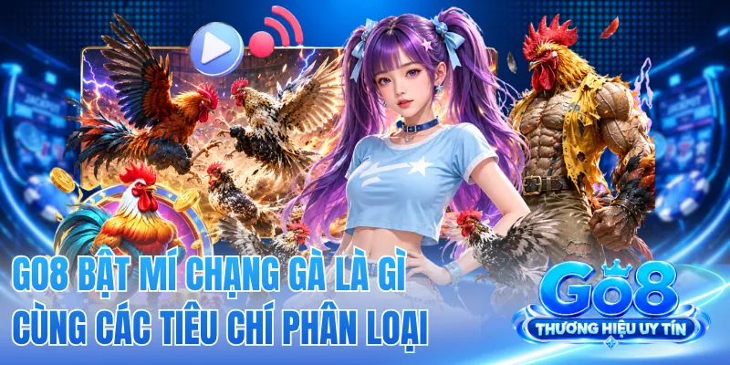 GO8 Bật Mí Chạng Gà Là Gì Cùng Các Tiêu Chí Phân Loại